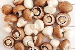 fresh-mushrooms